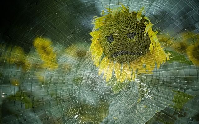 Foto di Shaarc da Pixabay